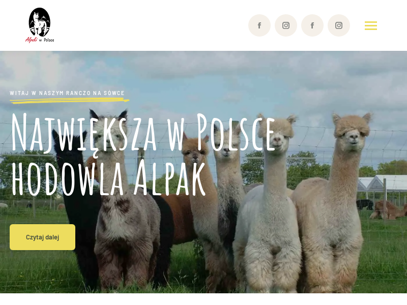 Alapki w Polsce Ranczo na Sówce